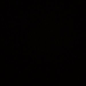 Meet your Posher, Angelica